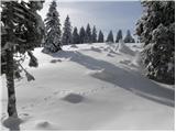 Planina Zgornja Konjščica